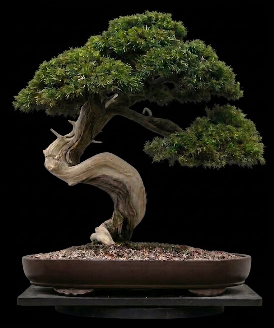Artystyczne drzewko bonsai